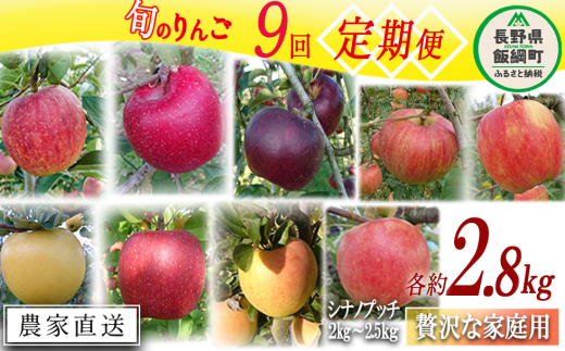 旬のりんご 【 定期便 】 贅沢な 家庭用 2kg ～ 2.8kg × 9回 信州