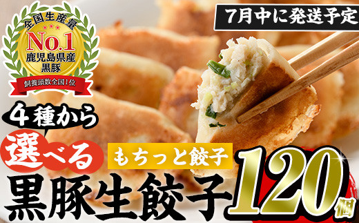 No.429-m-m07 [2025年7月中に発送予定]鹿児島黒豚使用の黒豚もちっと餃子(計120個・15個入り×8パック)国産 九州産 ぎょうざ ギョウザ 冷凍 黒豚 豚肉 お肉 おかず[末永商店]