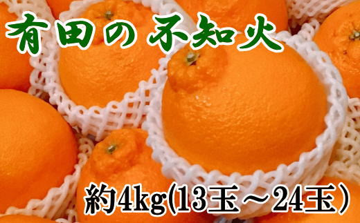 【濃厚】有田の不知火約4kg（13玉～24玉おまかせ） ※2025年2月上旬～2025年3月下旬頃に順次発送予定（日付指定不可）【tec863A】 763186 - 和歌山県串本町