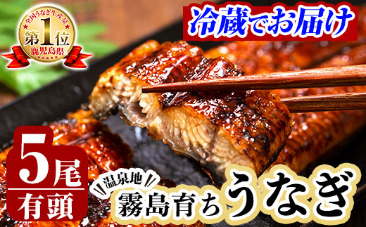 C-077-RZ ＜冷蔵でお届け＞霧島市育ちのあの「うなぎ」130～150g×5尾【田代水産】霧島市 うなぎ蒲焼 国産 鹿児島 うなぎ 鰻 ウナギ 高級 蒲焼き 蒲焼 かばやき タレ