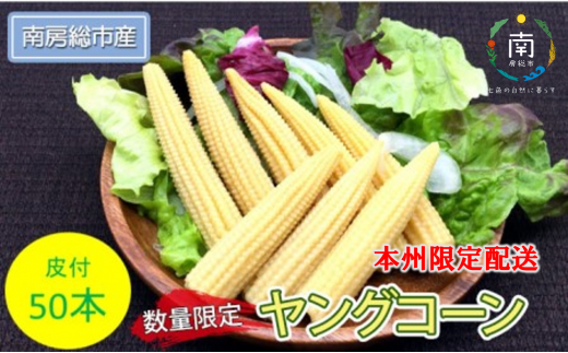 【先行受付 2023年6月中旬よりお届け】数量限定！ヤングコーン(ベビーコーン）50本[№5651-1039]