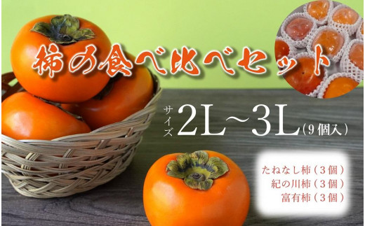 柿 柿の詰め合わせ 2L～3L（9個入り）たねなし柿 紀の川柿 富有柿 食べ