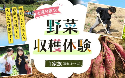 北九州市 野菜収穫体験 1家族(目安：2～4人) 