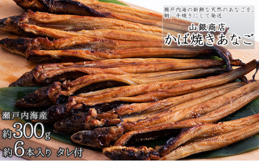 山銀商店 かば焼きあなご(約300g/約6本入り) [№5735-0706] - 岡山県