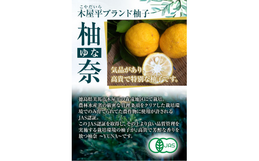 木屋平特産ゆず「柚奈」使用 柚奈鹿麗 200g×5個 セット 株式会社Surfrider(松家農園)《30日以内に順次出荷(土日祝除く)》徳島県  美馬市 ゆず カレー ジビエ ジビエカレー 鹿肉 鹿 送料無料