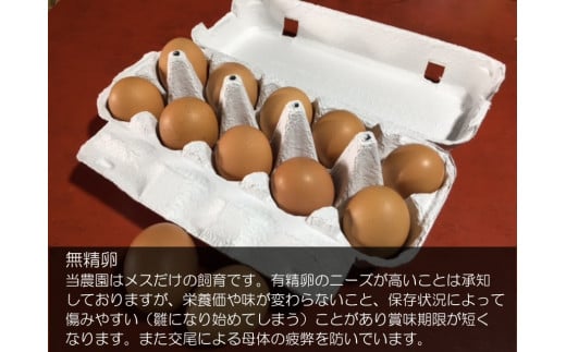信州小川村　有機飼料を食べて育った、栄養たっぷりの朝採れ卵を当日出荷