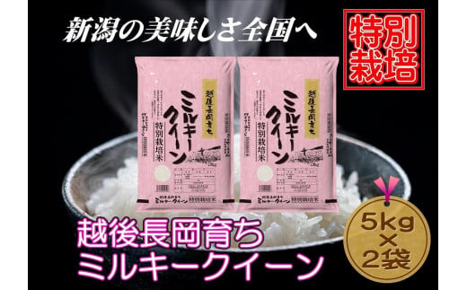 【特別栽培米】新潟県産ミルキークイーン　5kg×2袋（越後長岡育ち） 713936 - 新潟県新潟県庁