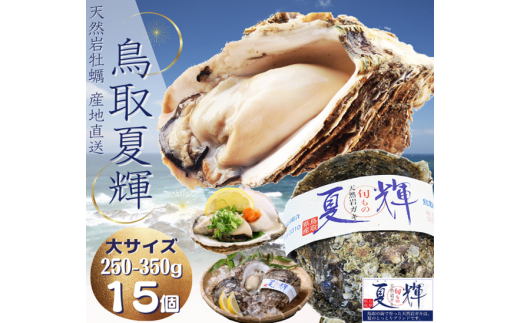 1304 天然岩牡蠣(活)夏輝 250g-350g前後(大サイズ) 15個セット(いまる