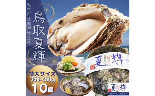 1307 天然岩牡蠣(活)夏輝 350g-450g前後(特大サイズ) 10個セット(いまる) 885118 - 鳥取県鳥取市