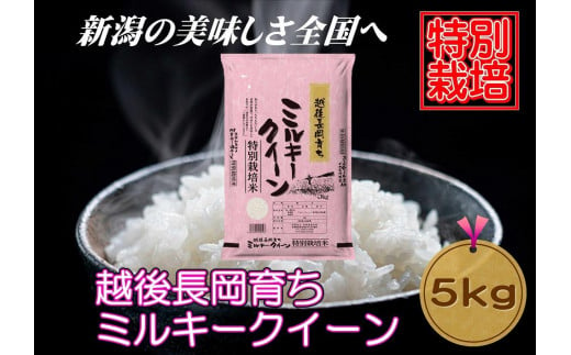 【特別栽培米】新潟県産ミルキークイーン　5kg（越後長岡育ち）