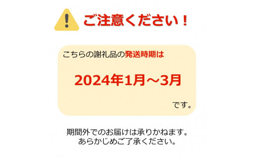 【2024年1月～3月頃発送】冬に咲く桜「啓翁桜」の切り花（80～90cm枝×8～10本）_F068(R5)|寺嶋嘉春