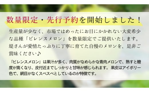 先行予約 6月中旬以降発送 】 令和5年産 ビレンス メロン 約2kg 1箱 2