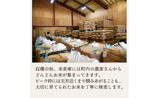山形県最上町のふるさと納税 OG【令和5年産】 特別栽培米つや姫10kg(5㎏×2)
