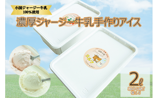  【大容量2L】濃厚ジャージー牛乳手作りアイス（1L×2種：ミルク・いちご）
