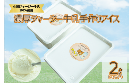  【大容量2L】濃厚ジャージー牛乳手作りアイス（1L×2個：ミルク）