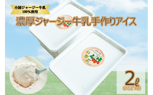  【大容量2L】濃厚ジャージー牛乳手作りアイス（1L×2個：いちご）