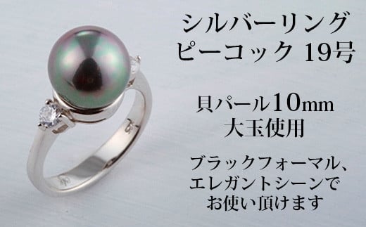 大阪府和泉市のふるさと納税 お礼の品ランキング【ふるさとチョイス