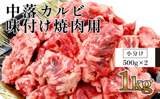 中落カルビ　味付け焼肉用　約500g×2 878476 - 高知県高知市