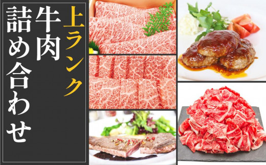 上ランク　牛肉詰め合わせセット(計　約4.5kg) 681616 - 高知県高知市