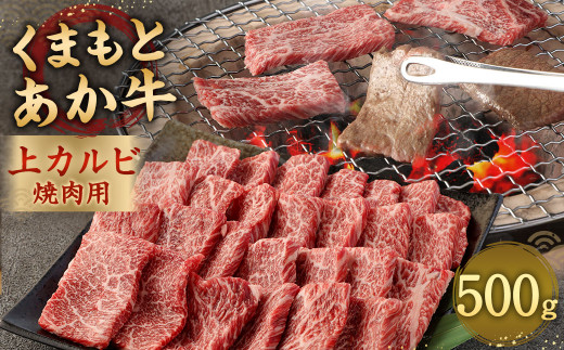 あか牛 焼肉用 上カルビ 500g 焼肉 肉 牛肉 冷凍 熊本県産 843552 - 熊本県相良村