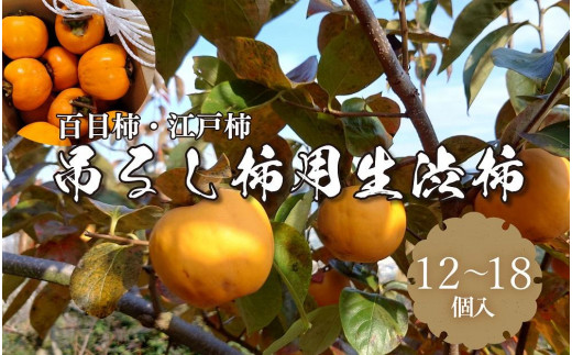 つるし柿用生渋柿(百目柿、江戸柿) 約5kg 12~18個入り 国城観光農園 柿 渋柿【11月上旬から順次発送】 874009 - 和歌山県橋本市