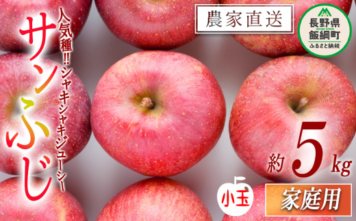 りんご サンふじ 家庭用 ( 小玉 ) 5kg 山岸ファーム 沖縄県への配送不可 2025年12月上旬頃から2025年12月下旬頃まで順次発送予定 令和7年度収穫分 信州 果物 フルーツ リンゴ 林檎 長野 11000円 予約 農家直送 長野県 飯綱町 [1155] 272048 - 長野県飯綱町