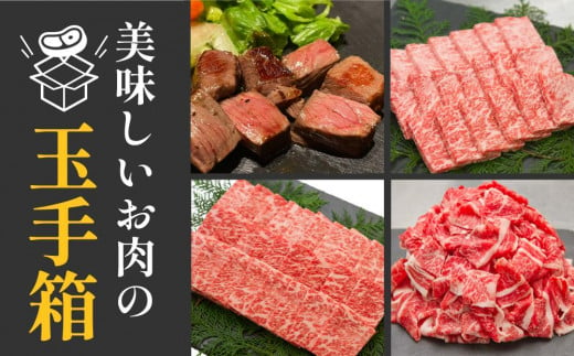高知県高知市のふるさと納税 高知から美味しいお肉の玉手箱!化粧箱入り　約840g
