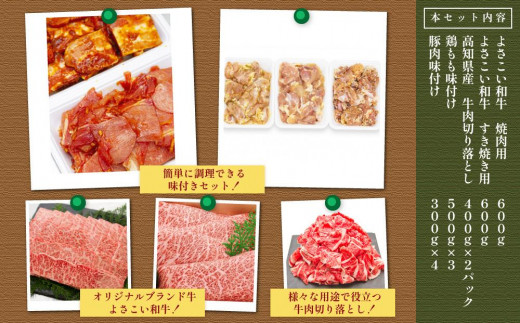 高知県高知市のふるさと納税 簡単調理!お肉の詰め合わせセット(計　約4.7kg)