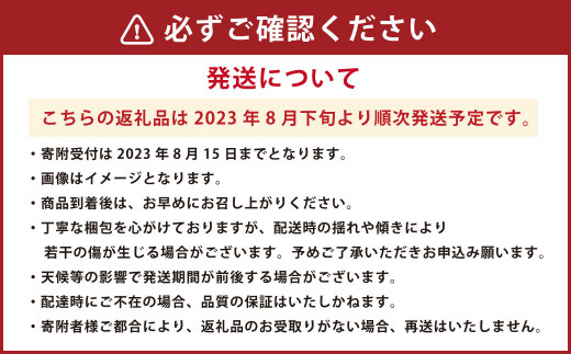 2023年8月発送開始】シャインマスカット1房 約600g 果物 フルーツ