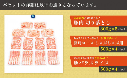 高知県高知市のふるさと納税 国産　豚肉　詰め合わせセット(計約5.5kg)