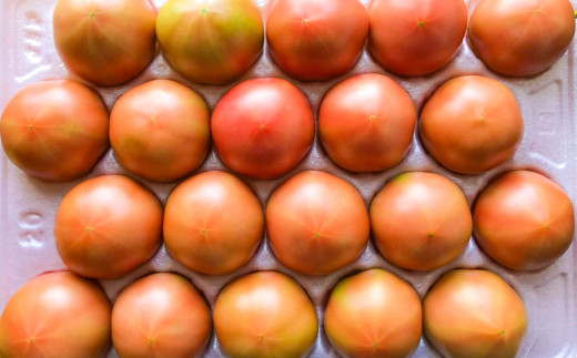 九重町産 大玉トマト 約4kg (16個～25個) トマト 野菜