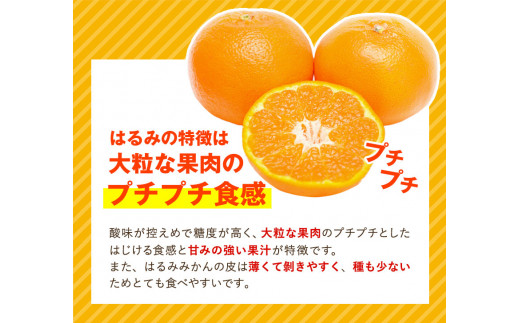 【大玉】和歌山県産はるみ約5kg(3L～5Lサイズおまかせ・ご家庭用) 厳選館 《2024年3月上旬-4月中頃より順次出荷》 和歌山県 日高川町  はるみ みかん 柑橘 フルーツ ご家庭用|