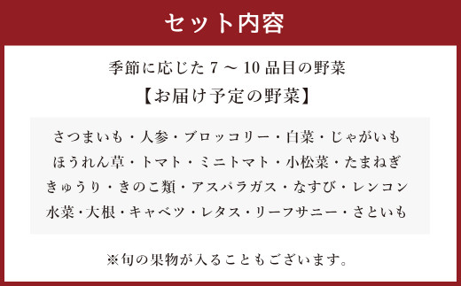 生産者応援 採れたて新鮮 旬のお野菜 詰め合わせセット