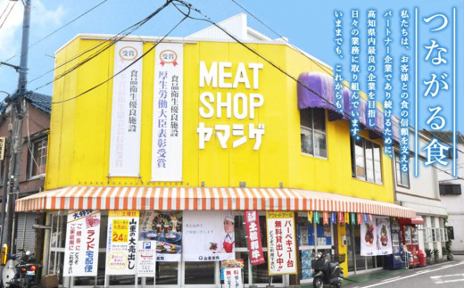 高知県高知市のふるさと納税 牛肉　いろどりセット　切り落とし・すき焼き・焼肉・ハンバーグ