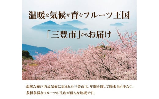 香川県三豊市のふるさと納税 M02-0026_【先行予約】甘み抜群 「貯蔵デコポン」 約5kg