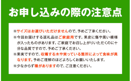 【大玉】和歌山県産はるみ約5kg(3L～5Lサイズおまかせ・ご家庭用) 厳選館 《2024年3月上旬-4月中頃より順次出荷》 和歌山県 日高川町  はるみ みかん 柑橘 フルーツ ご家庭用|