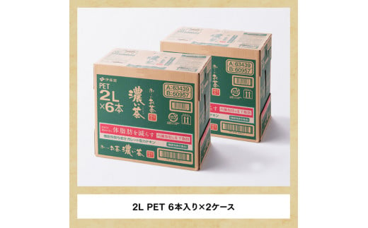 おーいお茶 濃い茶 2L×6本×2ケース PET【3ヶ月定期便】 - 宮崎県川南町