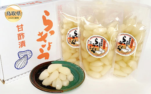 A24-034 特別栽培らっきょうの甘酢漬 581271 - 鳥取県鳥取県庁