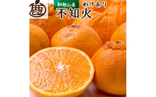 ＜2月より発送＞家庭用 不知火2.5kg+75g（傷み補償分）【デコポンと同品種・人気の春みかん】【わけあり・訳あり】【光センサー選別】 765399 - 和歌山県和歌山市