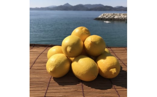 青いレモンの島　レモン約1kg＜お試しセッ