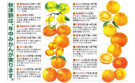 和歌山県田辺市のふるさと納税 季節毎の柑橘ジュース500ml×6本セット / 和歌山 和歌山県産 田辺市 温州みかん 不知火 デコポン バレンシアオレンジ みかんジュース 100％ジュース オレンジジュース