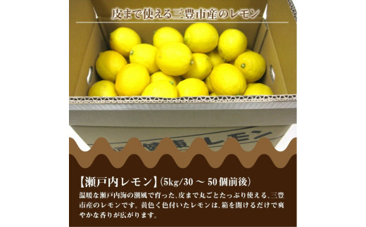 M02-0018_三豊市産瀬戸内レモン約5kg（30～50個前後）
