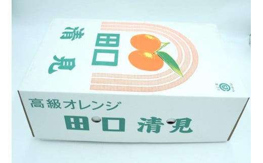 田口の清見オレンジ 秀品 5kg L～３L（30玉～18玉）化粧箱入り サイズ