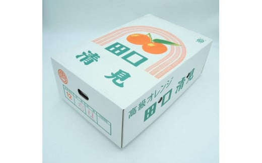 田口の清見オレンジ 秀品 5kg L～３L（30玉～18玉）化粧箱入り サイズ