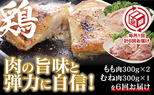 C024 【定期(6回)】秋川牧園 旨みたっぷり鶏肉セット 778985 - 山口県山口市