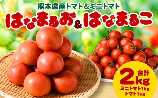 熊本県産トマト 1kg ＆ ミニトマト 1kg 合計2kg はなまるお ＆ はなまるこ