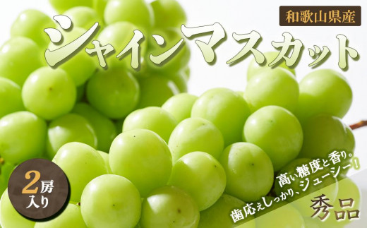 ◆先行予約◆和歌山県産 シャインマスカット 2房入り〈秀品〉［2025年8月中旬以降出荷］［MG23］
