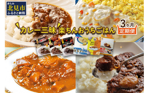 【3ヶ月定期便】 ＼カレー三昧／楽ちんおうちごはん ( カレー レトルトカレー 定期便 )【999-0112】