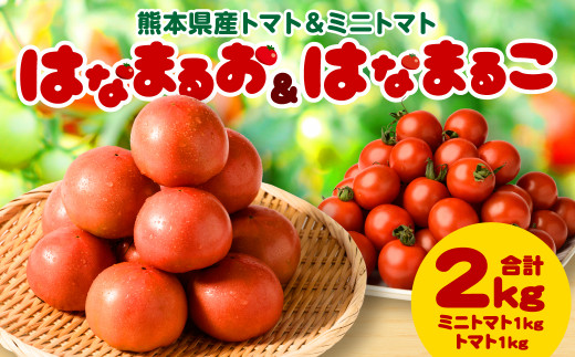熊本県産 トマト 1kg ＆ ミニトマト 1kg  合計2kg はなまるお ＆ はなまるこ 