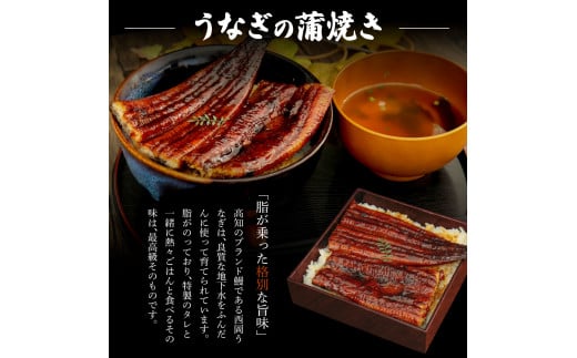 高知ブランド鰻「西岡うなぎ」《上》うなぎの蒲焼き・白焼き2尾セット（約330g） オリジナルタレ・山椒付き 国産 ウナギ 鰻 冷凍配送 高知県産  うな重 丼 大きい 自宅用 家庭用